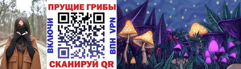 Псилоцибиновые грибы Magic Shrooms  Купить где  Кингисепп 
